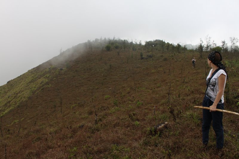 India 2010 - Coorg - Honey Valley - Trek towards Tadiandamol - Getting Back